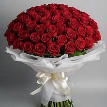 Букет 101 Красная роза Блэк Мэджик в Светлополянске