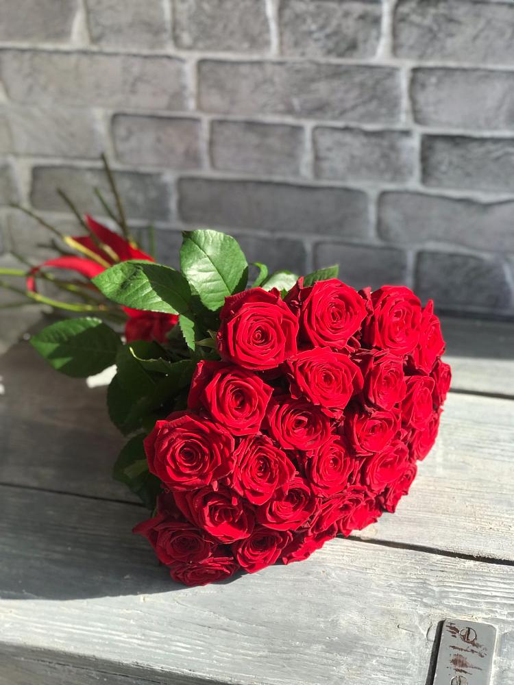 Букет Красные розы Фридом в Светлополянске