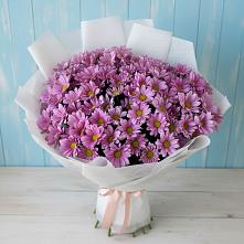 Букет цветов из:  Хризантемы в Светлополянске