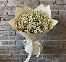 Букет цветов из:  Ромашки #REPLACE_PRED# Светлополянске