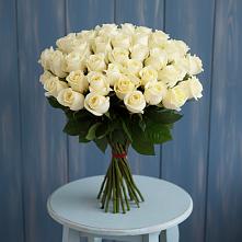 Букет 51 Белая роза Эдлесс Лав #REPLACE_PRED# Светлополянске