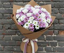 Букет цветов из:  Хризантемы #REPLACE_PRED# Светлополянске