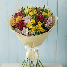 Букет цветов из:  Альстромерии #REPLACE_PRED# Светлополянске