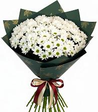 Букет цветов из:  Хризантемы #REPLACE_PRED# Светлополянске