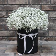 Цветочная композиция из Гипсофила в шляпной коробке в Светлополянске